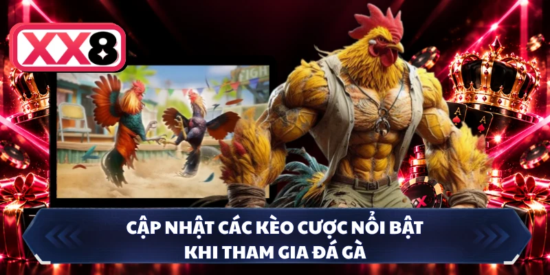 Cập nhật các kèo cược nổi bật khi tham gia đá gà